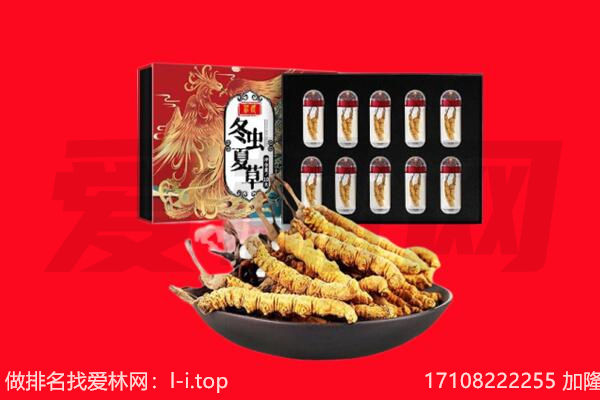 三明清流县回收虫草.jpg